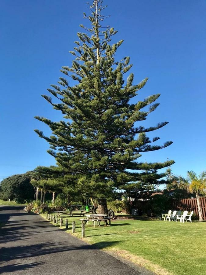 Beaches Motel Waihi Εξωτερικό φωτογραφία